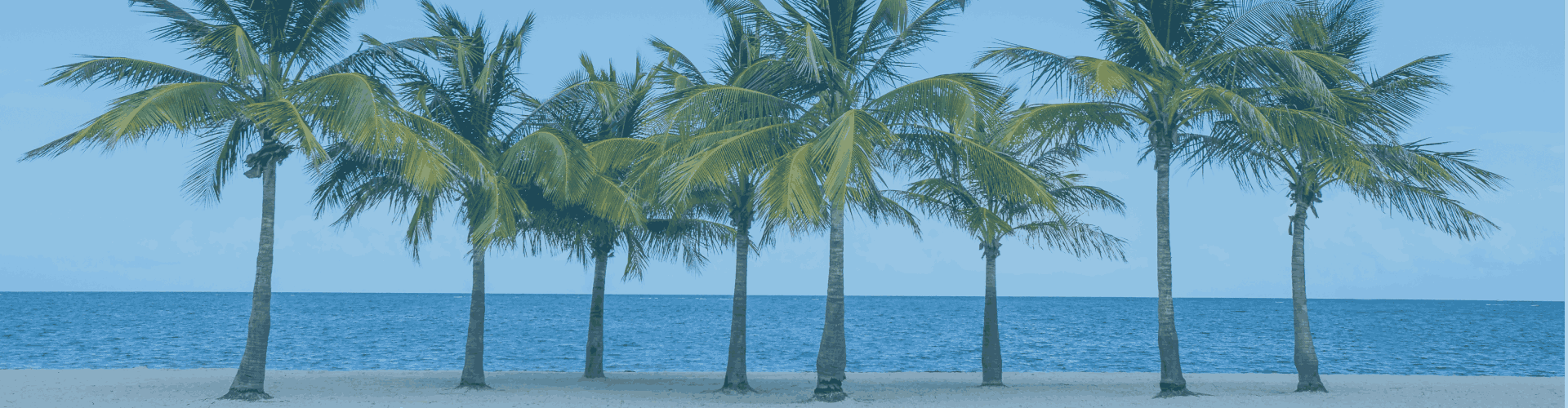 Florida Winter Special