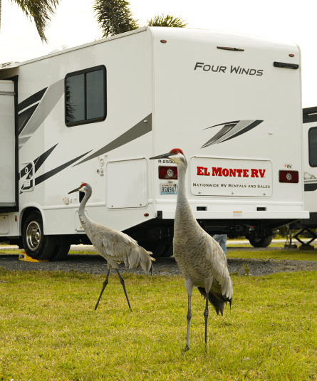 Orlando RV Rental