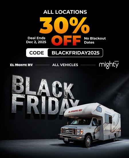 Black Friday Special