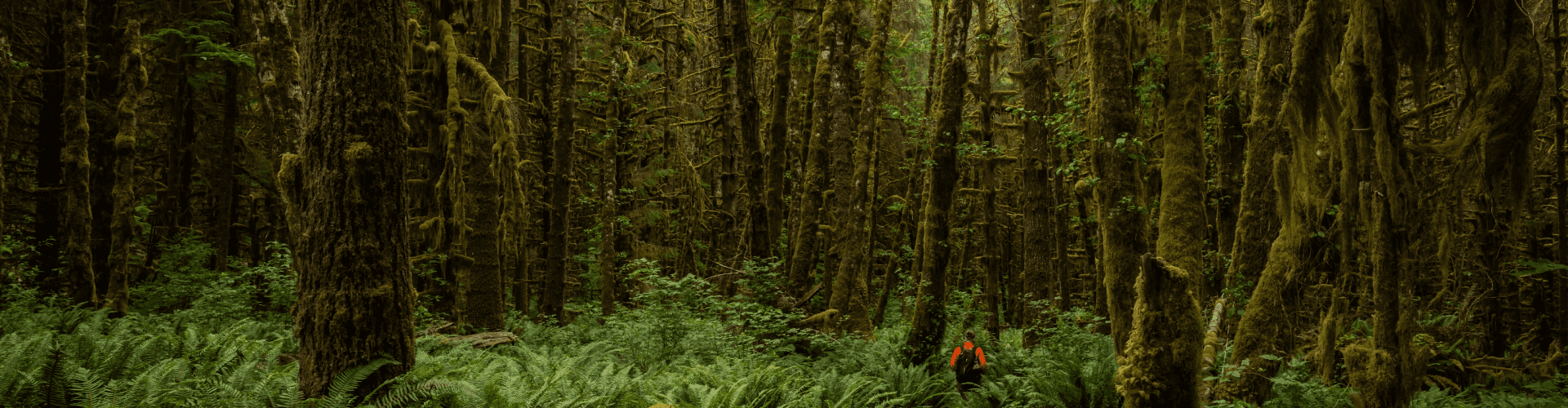 El Monte Rv Rentals Seattle