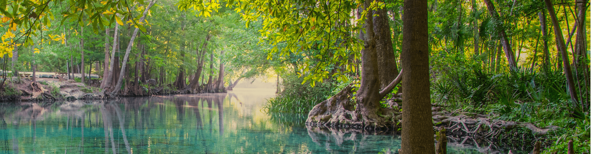 RV Rentals in Orlando