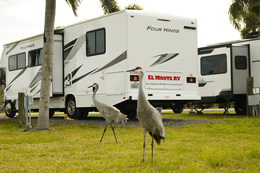 RV Travel in National Parks