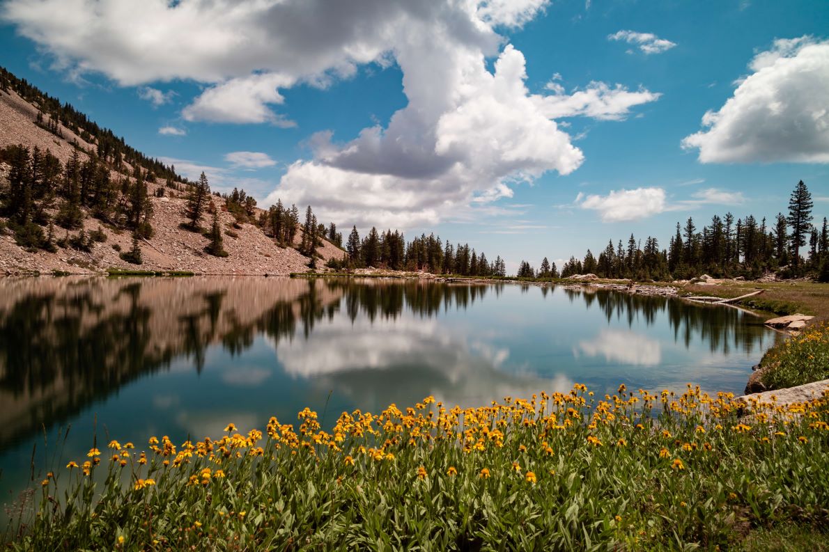 Explore Nevada by RV Bottom Right Explore Nevada by RV Bottom Right