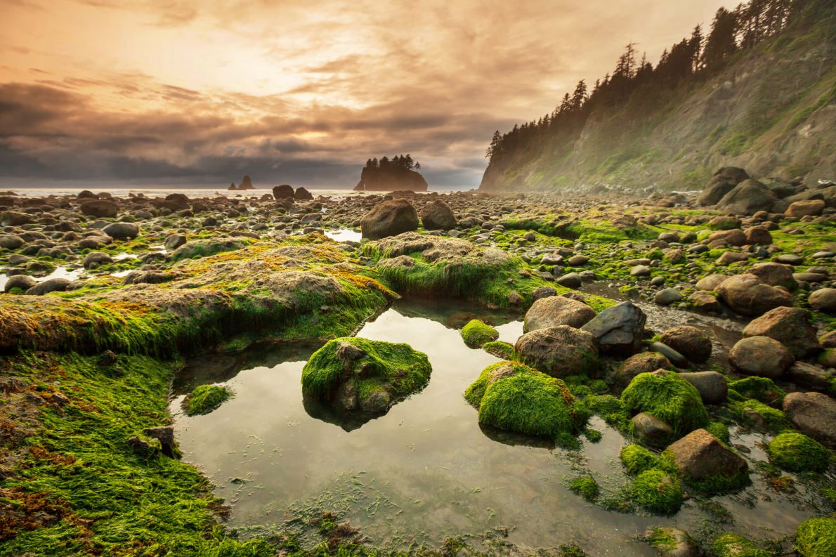 Day 2: Olympic National Park Adventure Day 2: Olympic National Park Adventure