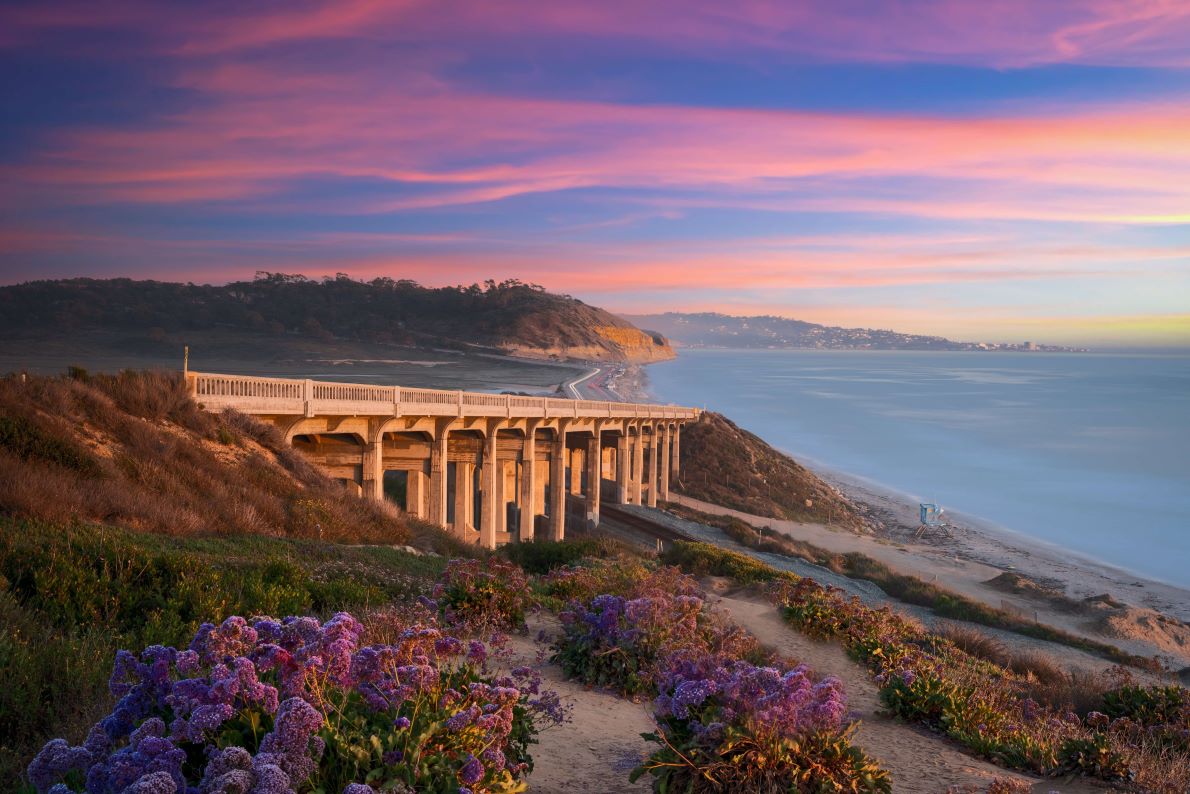 Torrey Pines State Beach San Diego