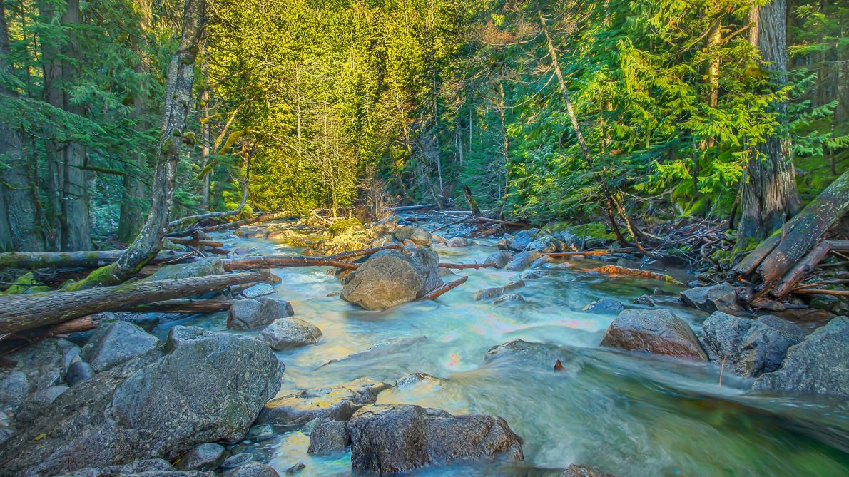 RV Rentals in Seattle, Washington (SEA) RV Rentals in Seattle, Washington (SEA)