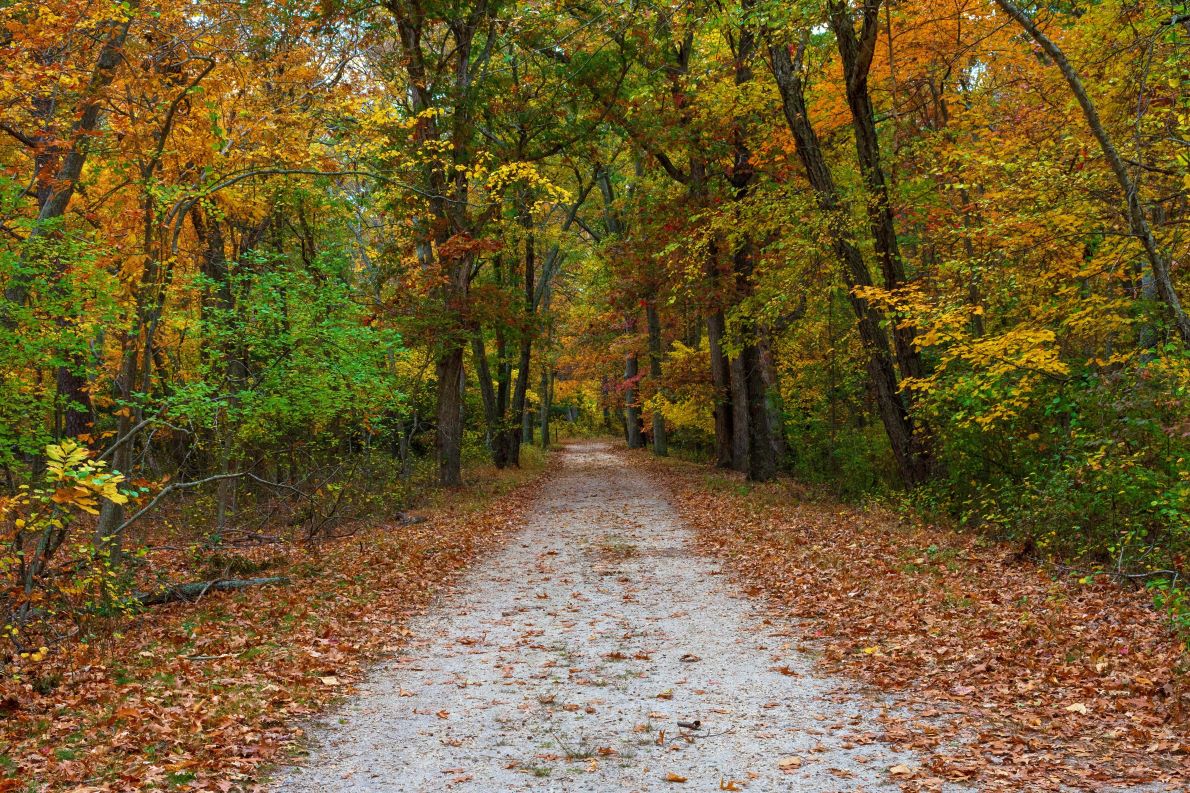 RV Rentals in Linden, New Jersey (NYC) RV Rentals in Linden, New Jersey (NYC)